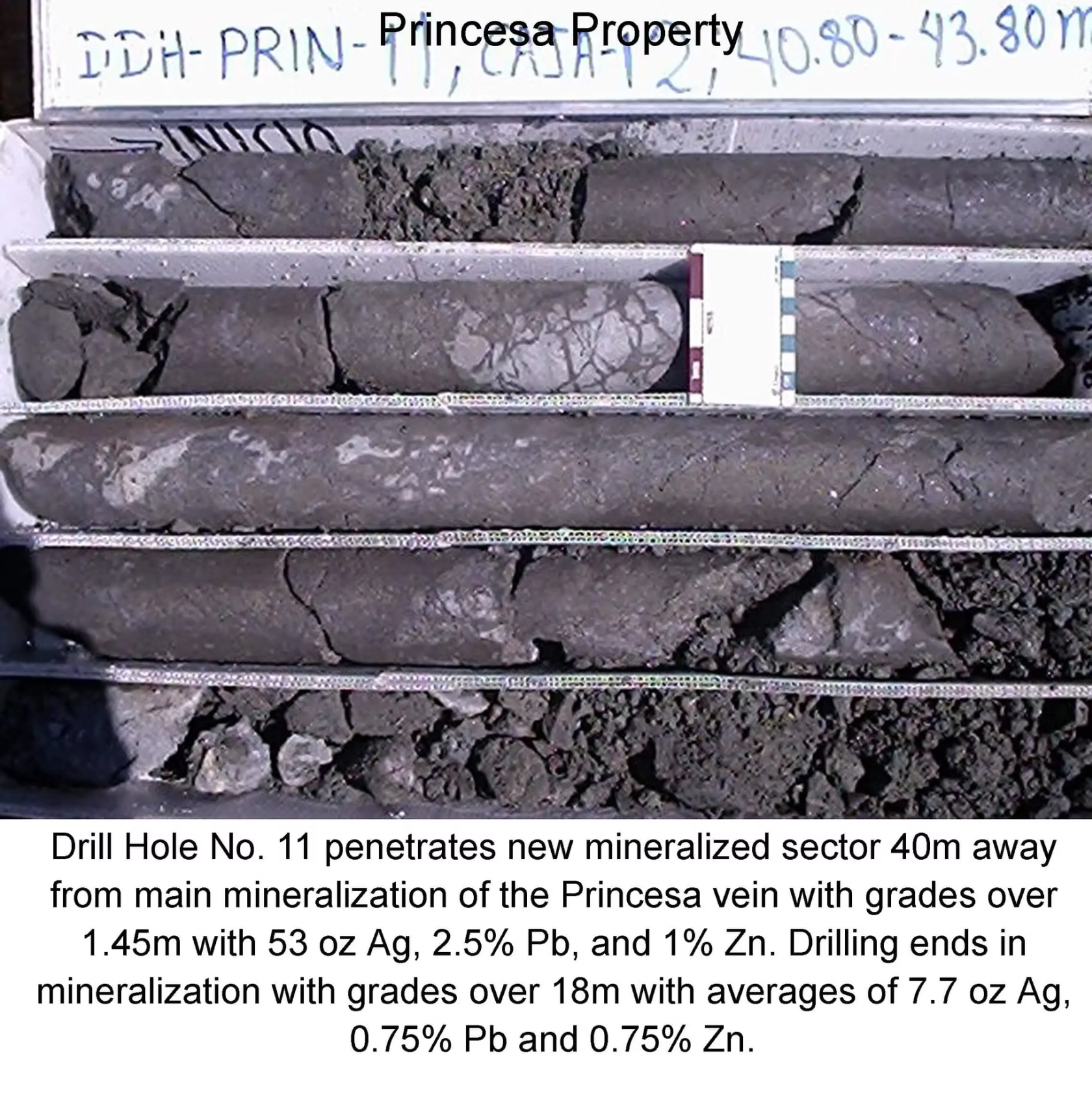Project gallery image 1